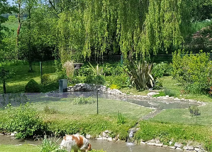 Retour Aux Sources * Bainghen