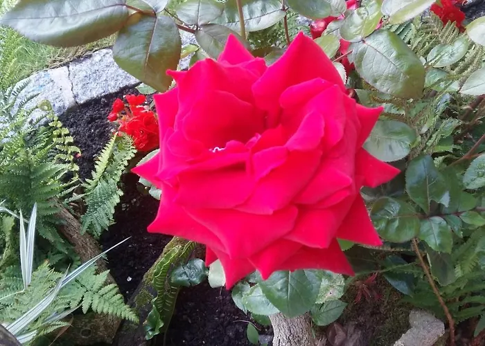 Bed & Breakfast Retour Aux Sources *