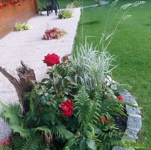 Retour Aux Sources Bed & Breakfast *